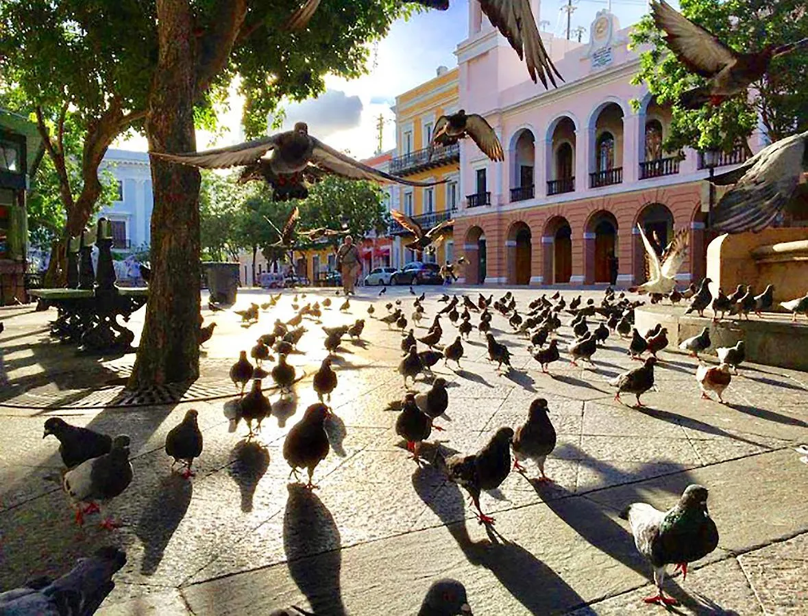Navona Studios San Juan 2*,  Porto Rico